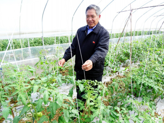 梁小毛.jpg 梁小毛.jpg