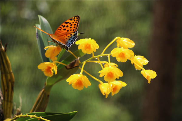 照片9_副本.jpg 照片9_副本.jpg