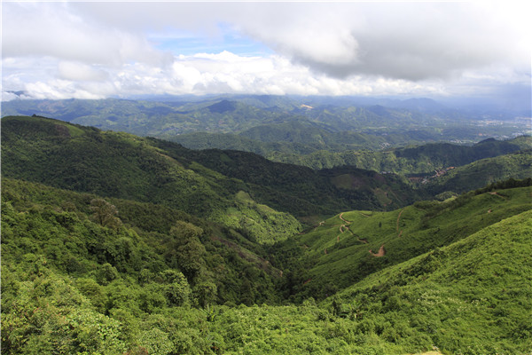 照片1_副本.jpg 照片1_副本.jpg