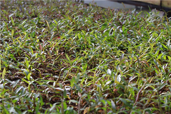 照片4_副本.jpg 照片4_副本.jpg