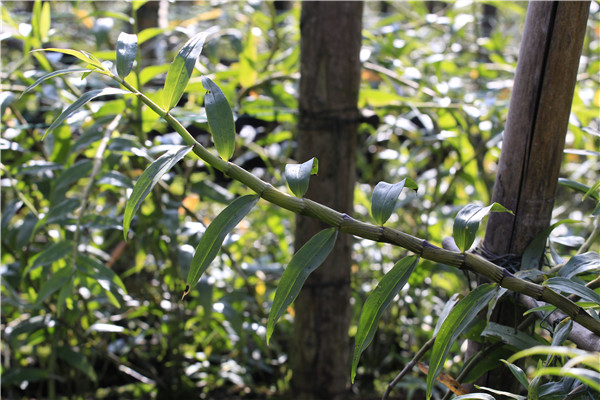 照片5_副本.jpg 照片5_副本.jpg