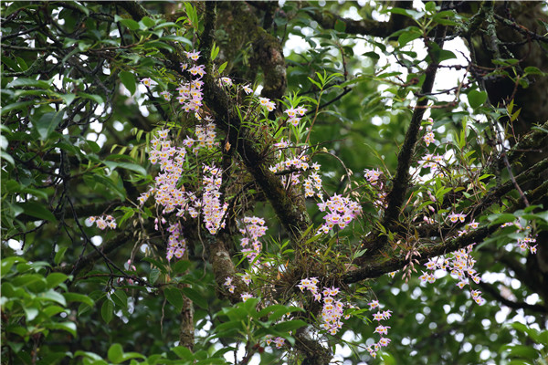 照片8_副本.jpg 照片8_副本.jpg