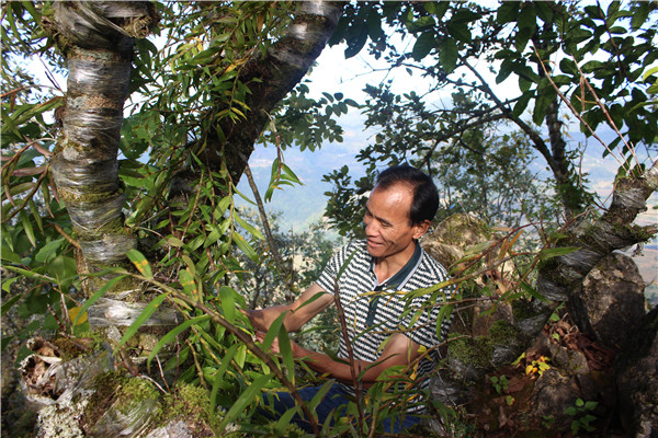 照片7_副本.jpg 照片7_副本.jpg