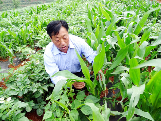 m6o6QVcgq6Bk6vZqmcHLMjvk4H8Our8WfQx7vMAl.jpeg m6o6QVcgq6Bk6vZqmcHLMjvk4H8Our8WfQx7vMAl.jpeg