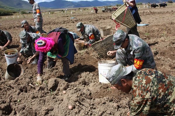 17_副本.jpg 17_副本.jpg