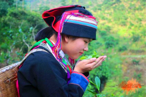 12_副本.jpg 12_副本.jpg