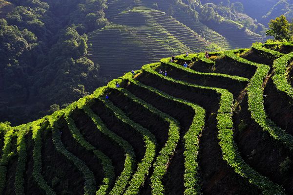 1_副本.jpg 1_副本.jpg