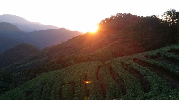 16_副本.jpg 16_副本.jpg