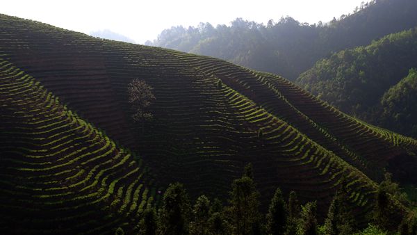 6_副本.jpg 6_副本.jpg