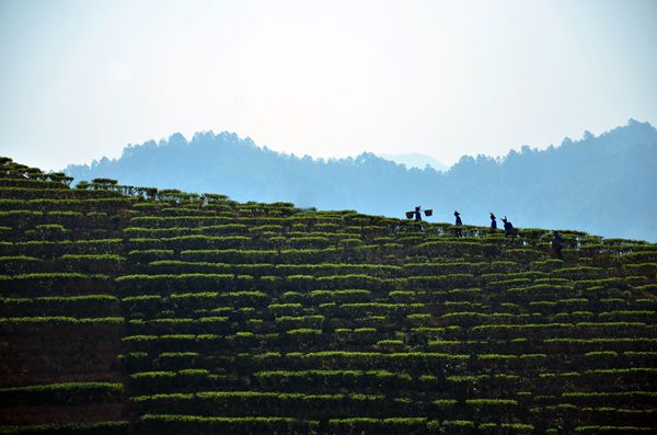 4_副本.jpg 4_副本.jpg