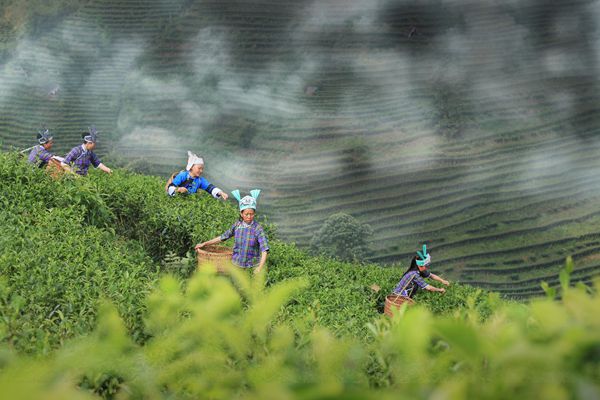 14_副本.jpg 14_副本.jpg