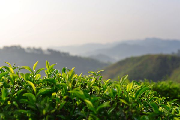 2_副本.jpg 2_副本.jpg