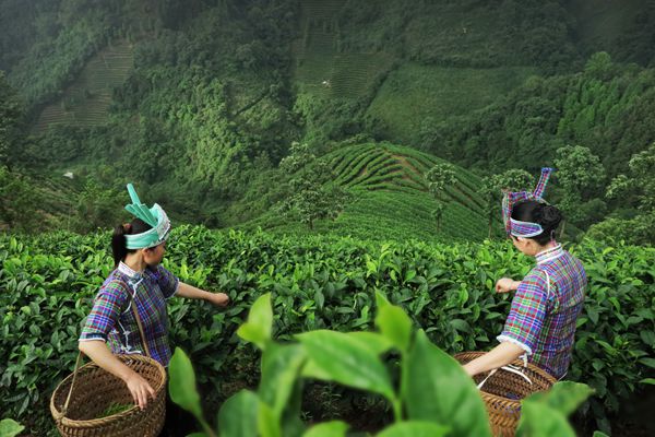 7_副本.jpg 7_副本.jpg