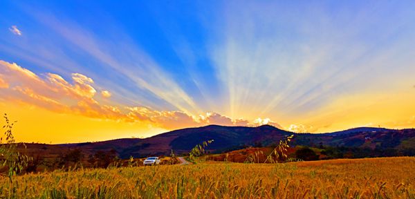 5_副本.jpg 5_副本.jpg