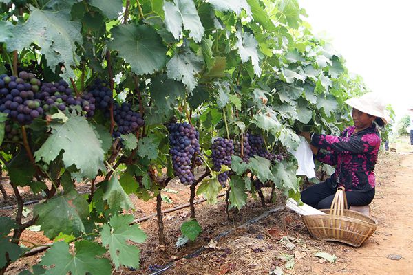 3_副本.jpg 3_副本.jpg