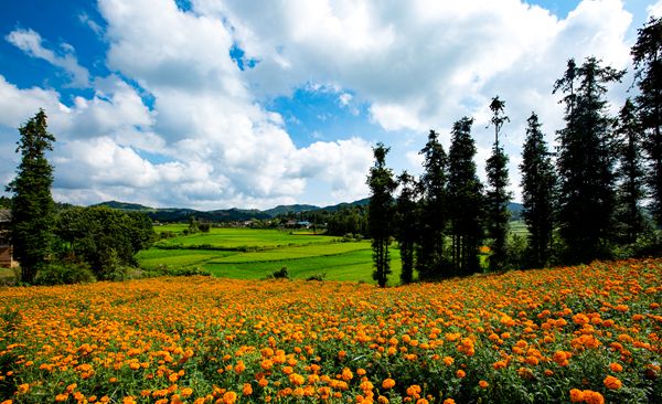 4_副本.jpg 4_副本.jpg