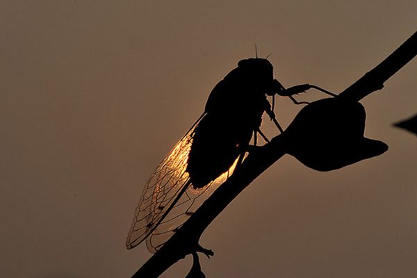 9_副本.jpg 9_副本.jpg