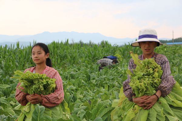 7_副本.jpg 7_副本.jpg