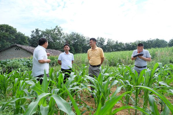 5_副本.jpg 5_副本.jpg