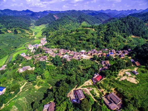 1_副本.jpg 1_副本.jpg