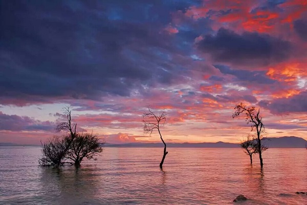 9 濃墨重彩山水艷,幾株樹影入畫來.jpg 9 濃墨重彩山水艷,幾株樹影入畫來.jpg