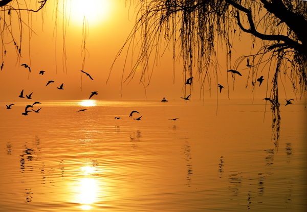 6 夕照云霞絢似錦,碧海波濤美如畫_副本.jpg 6 夕照云霞絢似錦,碧海波濤美如畫_副本.jpg