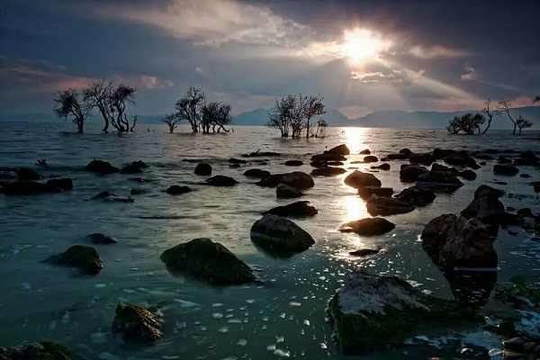 12 疏影橫斜水清淺,暗香浮動月黃昏.jpg 12 疏影橫斜水清淺,暗香浮動月黃昏.jpg