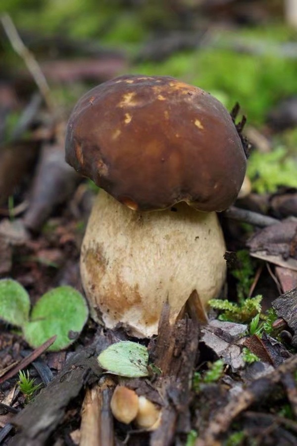 2_副本.jpg 2_副本.jpg