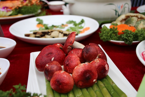 8_副本.jpg 8_副本.jpg