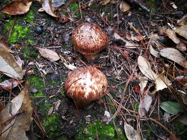 1_副本.jpg 1_副本.jpg