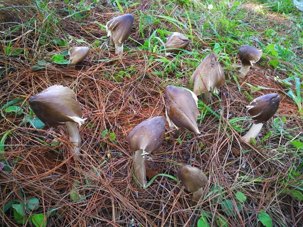 3_副本.jpg 3_副本.jpg