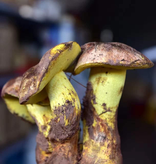 5_副本.jpg 5_副本.jpg