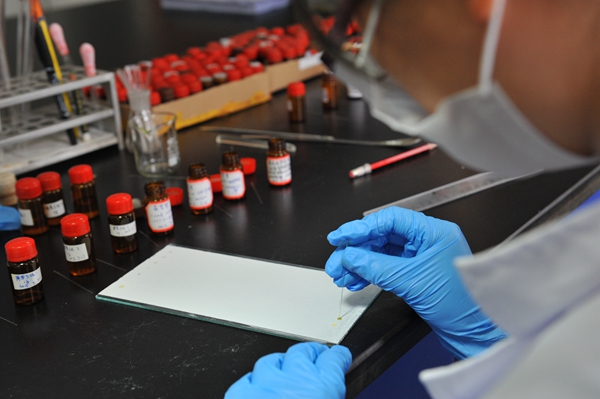 15_副本.jpg 15_副本.jpg