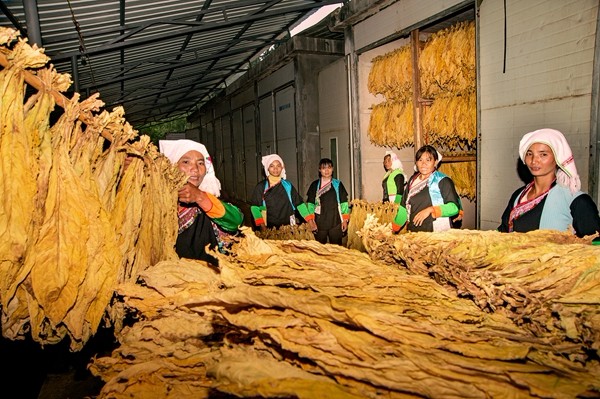 6_副本.jpg 6_副本.jpg