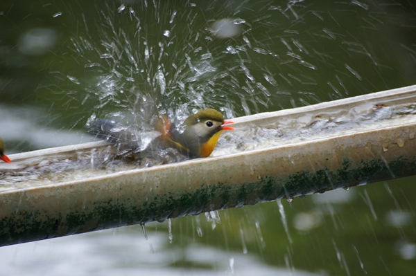 11_副本.jpg 11_副本.jpg