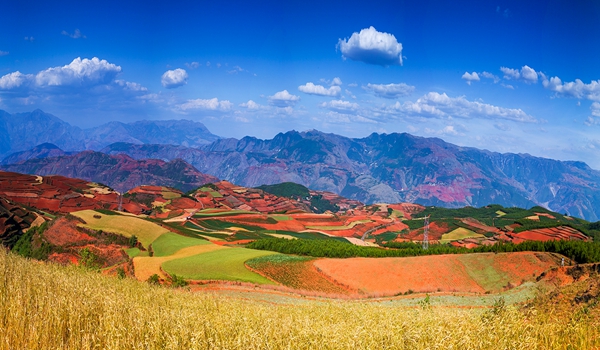 12_副本.jpg 12_副本.jpg