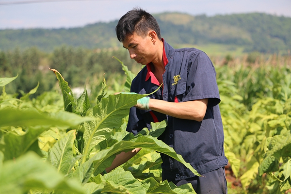 4_副本.jpg 4_副本.jpg