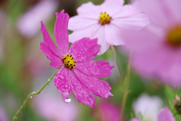 10_副本.jpg 10_副本.jpg