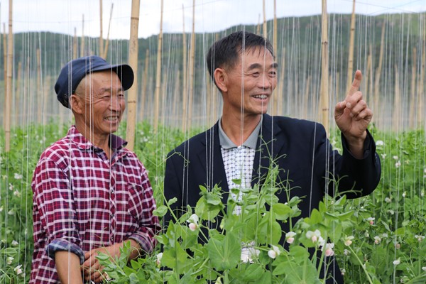 魯金寶與豆農(nóng)暢談農(nóng)業(yè)結(jié)構(gòu)調(diào)整(2)_副本.jpg 魯金寶與豆農(nóng)暢談農(nóng)業(yè)結(jié)構(gòu)調(diào)整(2)_副本.jpg