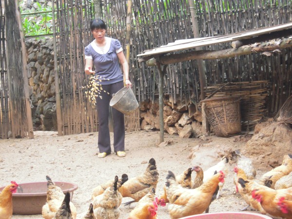 謝成芬生活照(攝影:孔祥粉).jpg 謝成芬生活照(攝影:孔祥粉).jpg