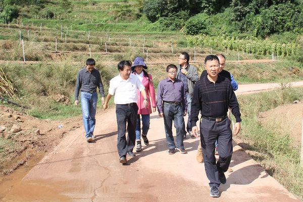 IMG_2703.jpg IMG_2703.jpg