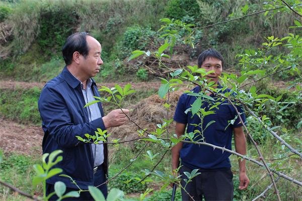 IMG_4456_看圖王.png IMG_4456_看圖王.png