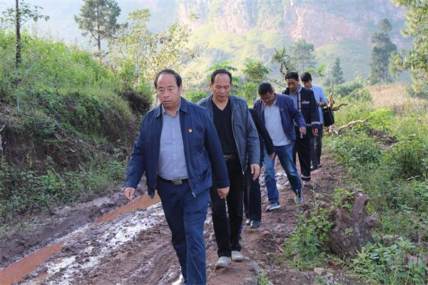 IMG_4377_看圖王.png IMG_4377_看圖王.png