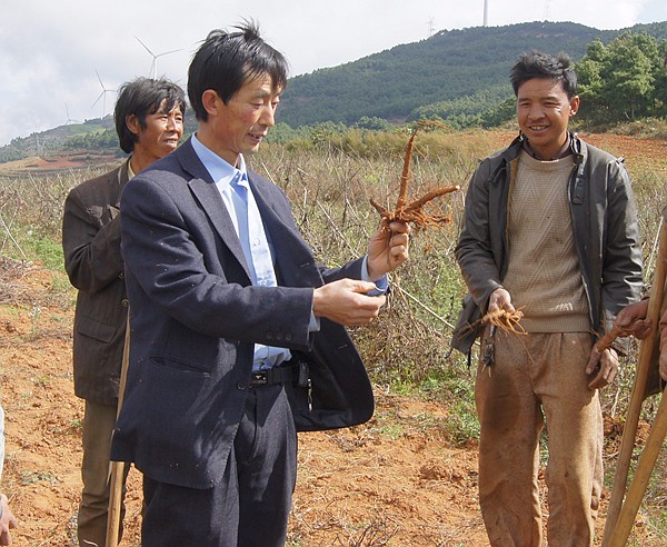 草烏栽培技術培訓_副本.jpg 草烏栽培技術培訓_副本.jpg