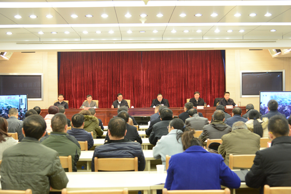 DSC_4231.jpg DSC_4231.jpg