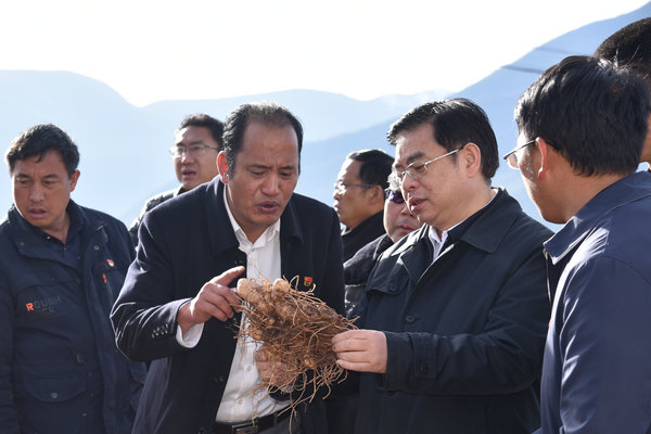 中共云南省委常委、省紀委書記陸俊華在迪慶調研,到中藥材種植田邊了解情況.jpg 中共云南省委常委、省紀委書記陸俊華在迪慶調研,到中藥材種植田邊了解情況.jpg