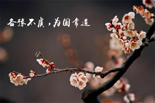 W020180109525270468136.jpg W020180109525270468136.jpg