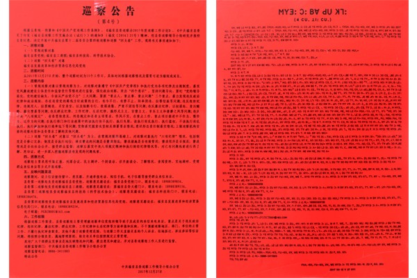 巡察公告.jpg 巡察公告.jpg