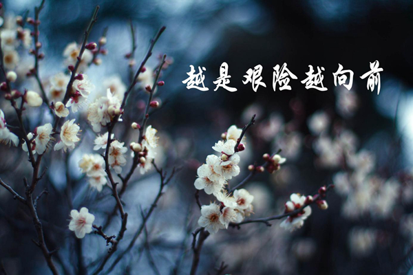 1_副本.jpg 1_副本.jpg