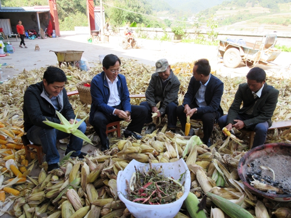 剝玉米  嘮家常  黨的政策暖人心_副本.jpg